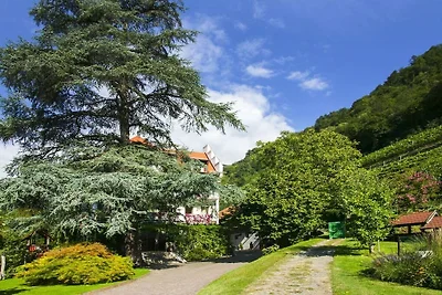 Appartamento per vacanze a Merano con piscina