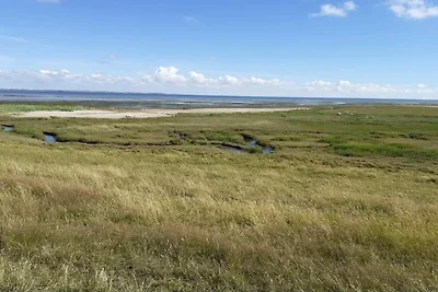 8 persoons vakantie huis in Rømø