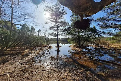 Luxusvilla mit Pool -- By Traum...