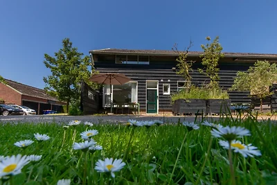 Apartment mit Mini-Campingplatz und...