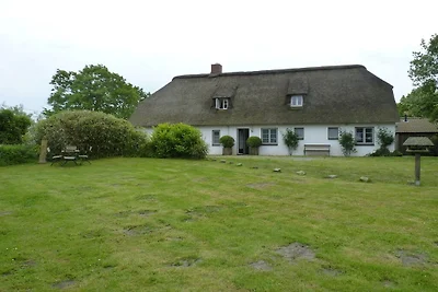 Ferienhaus mit 2 Schlafzimmer