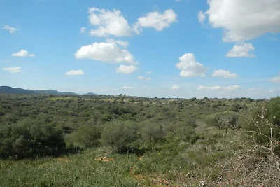 Ferienhaus mit 3 Schlafzimmer