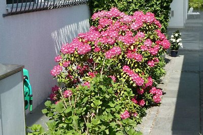 Hanssen a Lindau sul Lago di Costanza