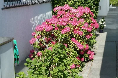 Hanssen in Lindau am Bodensee