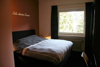 Vakantiehuis in Willingen met infraroodsauna