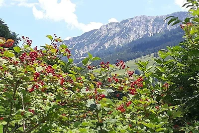 Waltenberger Sonthofen