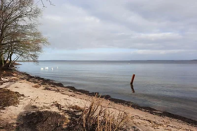 Maison de vacances pour 6 a Højslev-By Traum