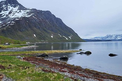 10 persoons vakantie huis in Reinfjord