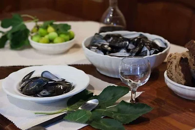 Vila Marija mit Pool