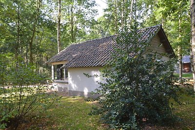 Gemütliches Ferienhaus in Limburg im Wald...
