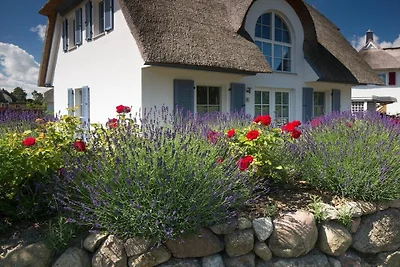 Ferienhaus Erholungsurlaub Fuhlendorf