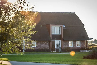Ferienhaus Erholungsurlaub Delfstrahuizen