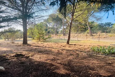 Bella casa vacanze a 500 m dal centro