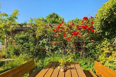 Vakantieappartement met 1 slaapkamer