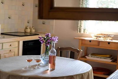 Ferienhaus in Murs mit Schwimmbecken