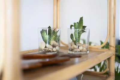 Wohnung in Paul do Mar am Surfstrand