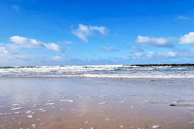 5 stelle case ad Liseleje