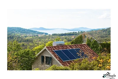 Ferienhaus in Zlarin mit Schwimmbecken