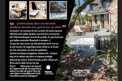 Goldener Ginster · Ploumanach Außergewöhnlich