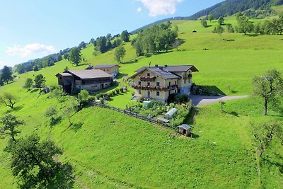 Gezellig appartement in een boerderij