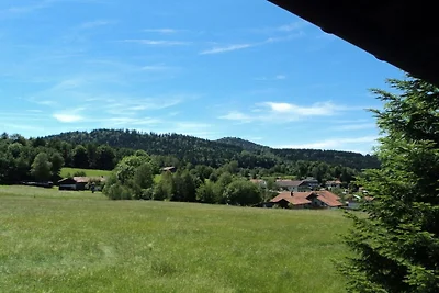Appartement de vacances avec 1 chambre