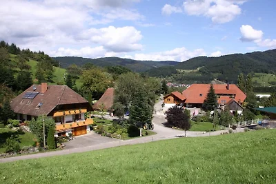 Boerderij in Steinach met zwembad