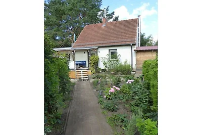 Wohnung mit 1 Schlafzimmer