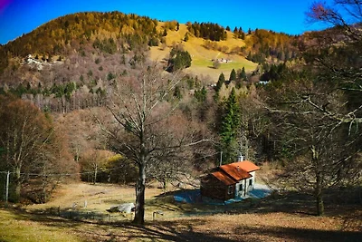 Il Faggio - P.IVA