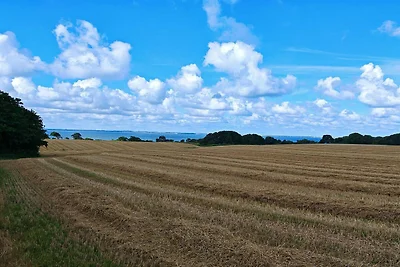 4 Personen Ferienhaus in Vordingborg-By Traum