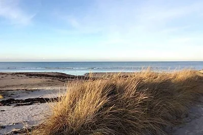 4 Personen Ferienhaus in Glesborg-By Traum