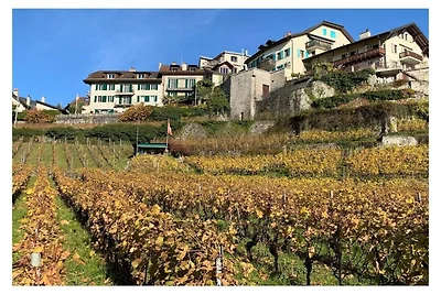 La Vigneronne, Giardino