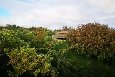 6 persoons vakantie huis in Skjern-By Traum