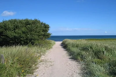 8 Personen Ferienhaus in Væggerløse-By Traum