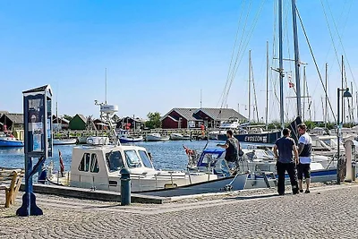 5 Personen Ferienhaus in Ringkøbing-By Traum