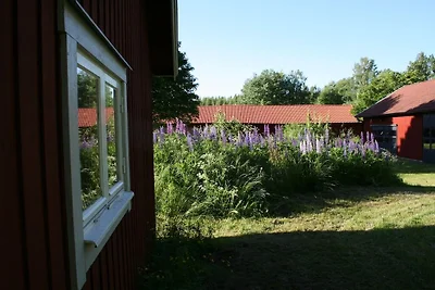 Ahornfarm Håkannäs