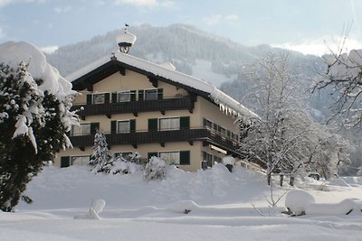 Einladendes Ferienhaus in Skigebietsnähe in...
