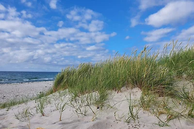 8 Personen Ferienhaus in Rørvig-By Traum