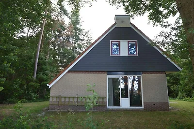 Ferienhaus mit Terrasse in Lemele
