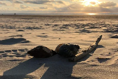 4 Personen Ferienhaus in Blåvand