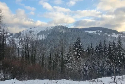 Chalet in La Bresse mit Talblick