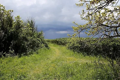 8 persone case ad Tranekær
