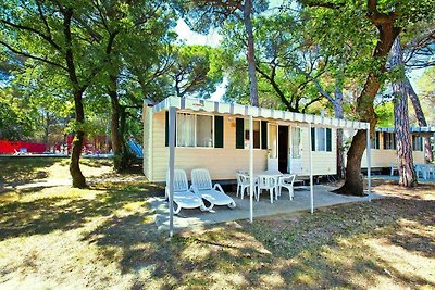 Caravan Park Belvedere, Grado