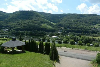 Ferienhaus Erholungsurlaub Bernkastel-Kues