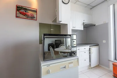 Mooi dakappartement met zeezicht