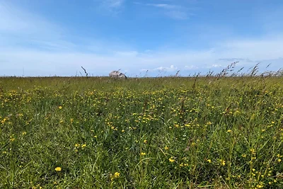 6 Personen Ferienhaus in Gedser-By Traum