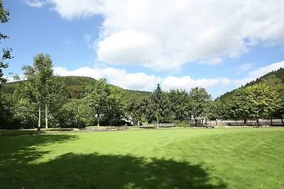 Appartamento a Schmallenberg con giardino...
