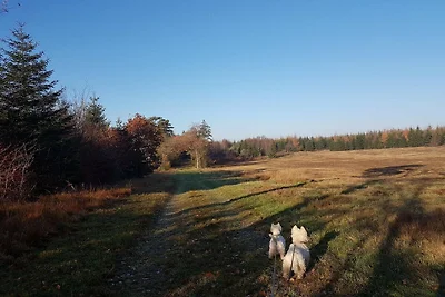 4 Personen Ferienhaus in Toftlund-By Traum