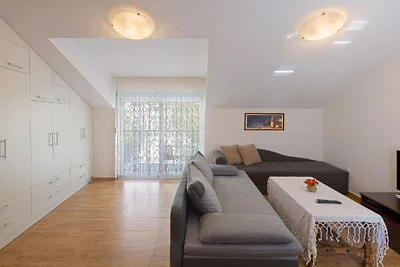 One Bedroom Apartment 1