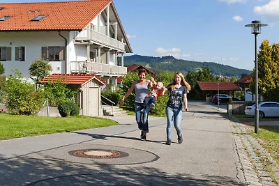 Ferienwohnungen, Bodenmais