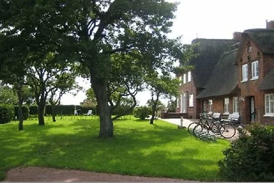 Ferienhaus in Wrixum mit Schwimmbecken